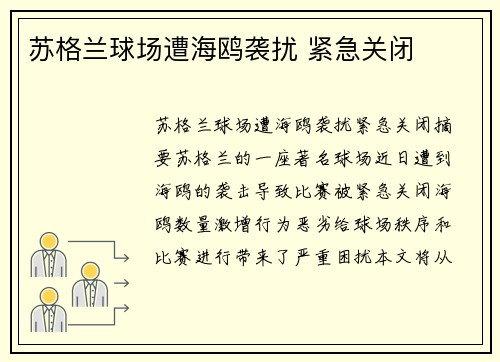 苏格兰球场遭海鸥袭扰 紧急关闭